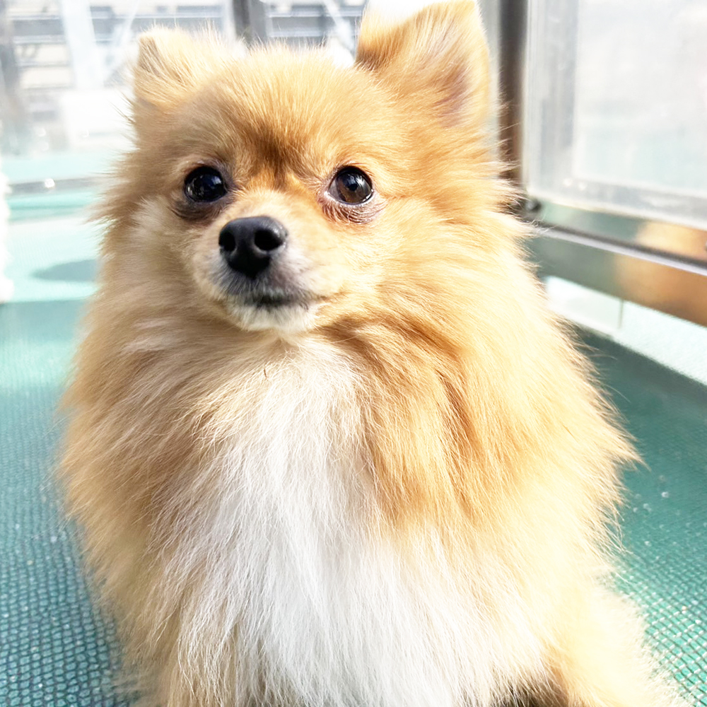 生徒が撮影した写真を送ってくれました！①